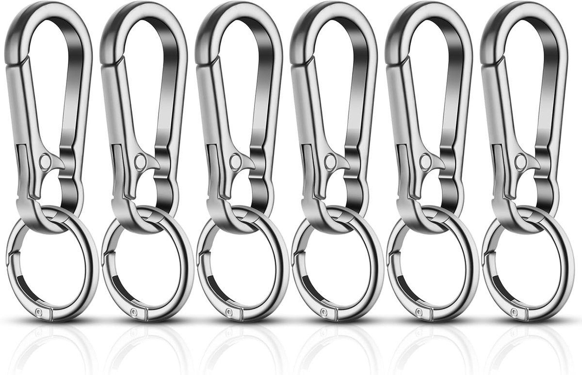 flintronic 6 stuks karabijnhaken, sleutelhanger, metaal, afneembare karabijnhaak, kleine karabijnhaak voor autosleutels, rugzak, camping, reizen