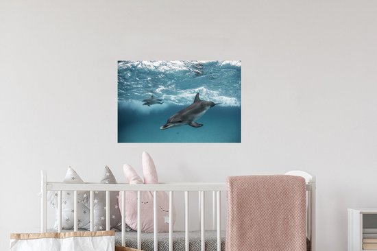 Sticker Muursticker Dauphin - Dauphins nageant près des Bahamas - 60x40 cm - film adhésif autocollant - sticker mural repositionnable