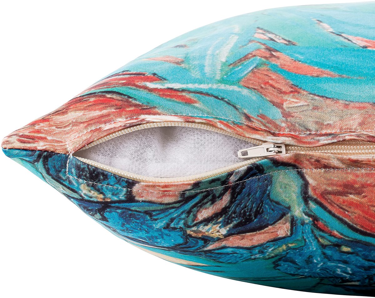 LILIENFELD Kussen Vincent Van Gogh Iris Art Motief Decoratief Kussen 40 x 40 cm Sofa Kussen Deco Huis Woonkamer Kussenhoes met Vulling Aan beide zijden bedrukt