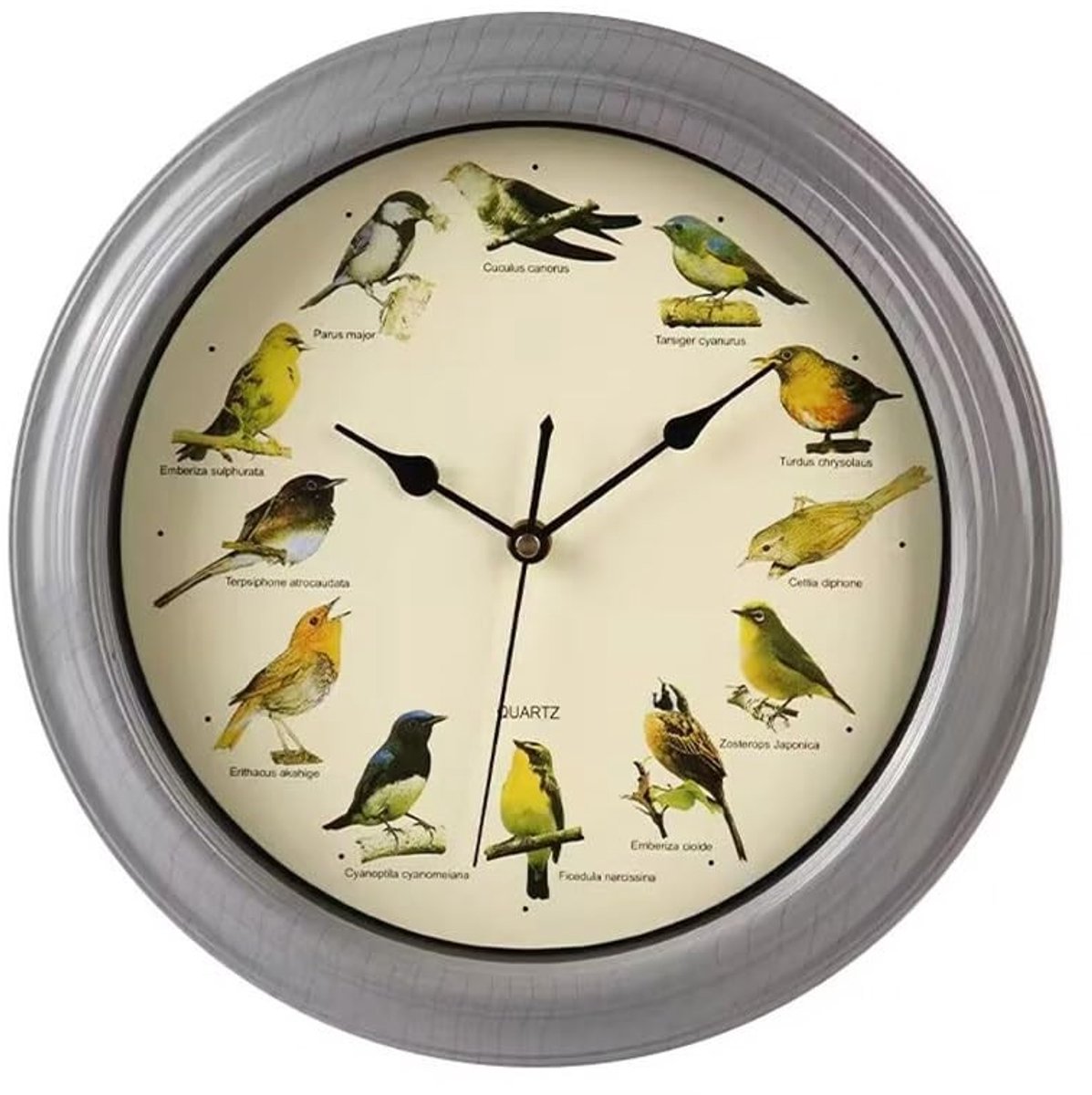 Wandklok met Vogelzangen - Stille Beweging - 13 Inch