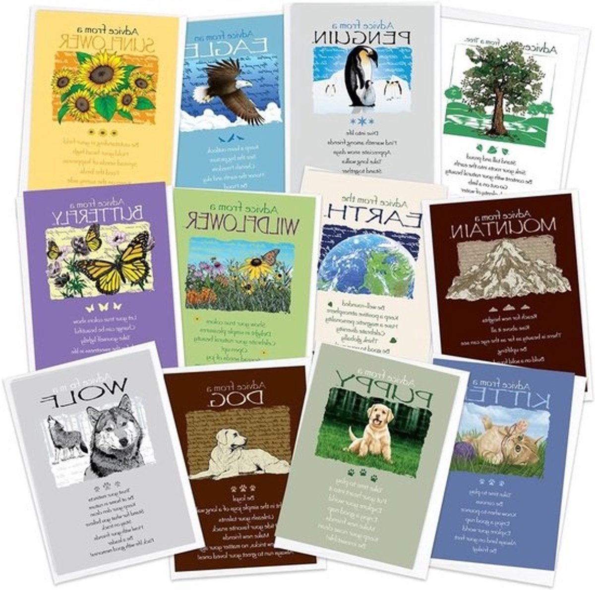 Wenskaarten Set - Kaarten Vrienden Familie - Verjaardagen Vieren - Natuur Thema Ontwerpen - 5 x 7 inches - Multicolor