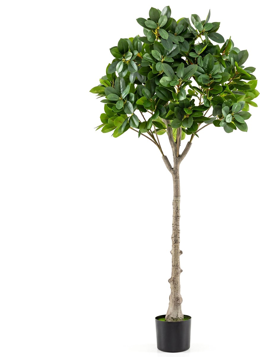 SureDeal® - Kunstplant - Kunstboom Realistische - Weelderige Decoratieplant - Woonkamer Kantoor Entreegebied - 15x13 cm - Groen