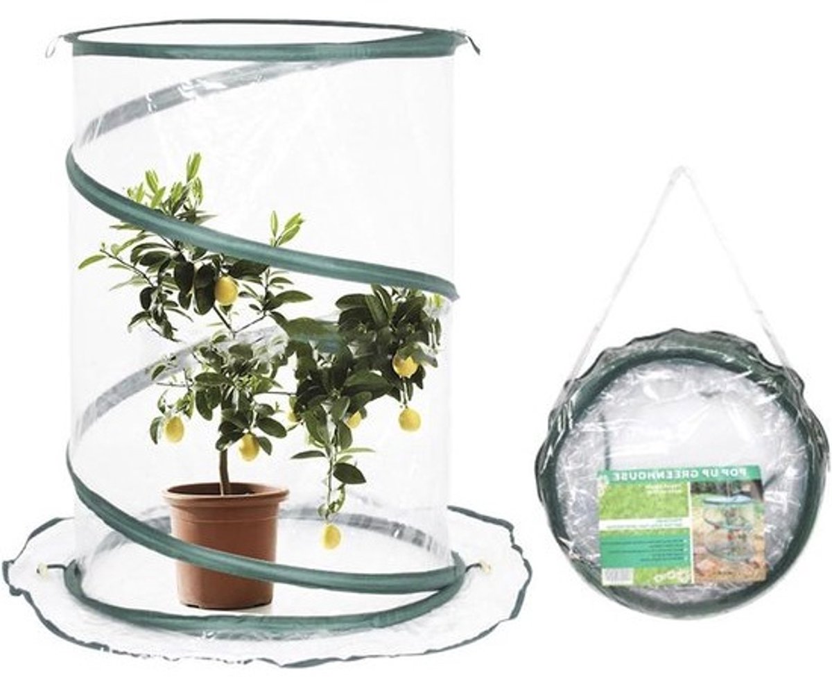 Pop-Up Kas - Mini Plantentent - Planten Beschermen - Draagbaar Ontwerp - 533 x 518 x 53 cm - Helder