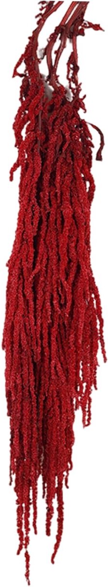 Gedroogde Bloemen - Natuurlijke Decoratie - Huis Aankleden - Realistische Wijnstokken - 60 tot 80 cm - Rood