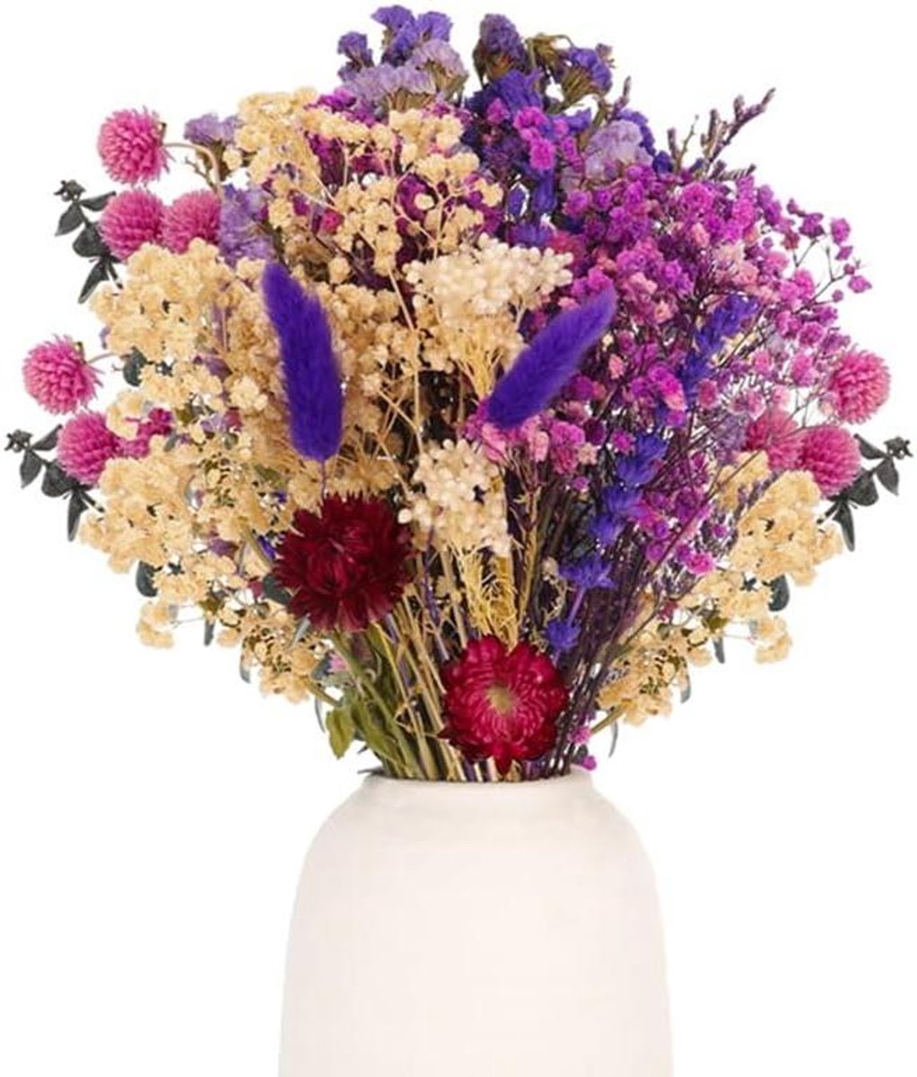 Droogbloemen Set - Gedroogde Planten - Decoratie Huis - 11 Soorten - 30 Stuks - Multicolor