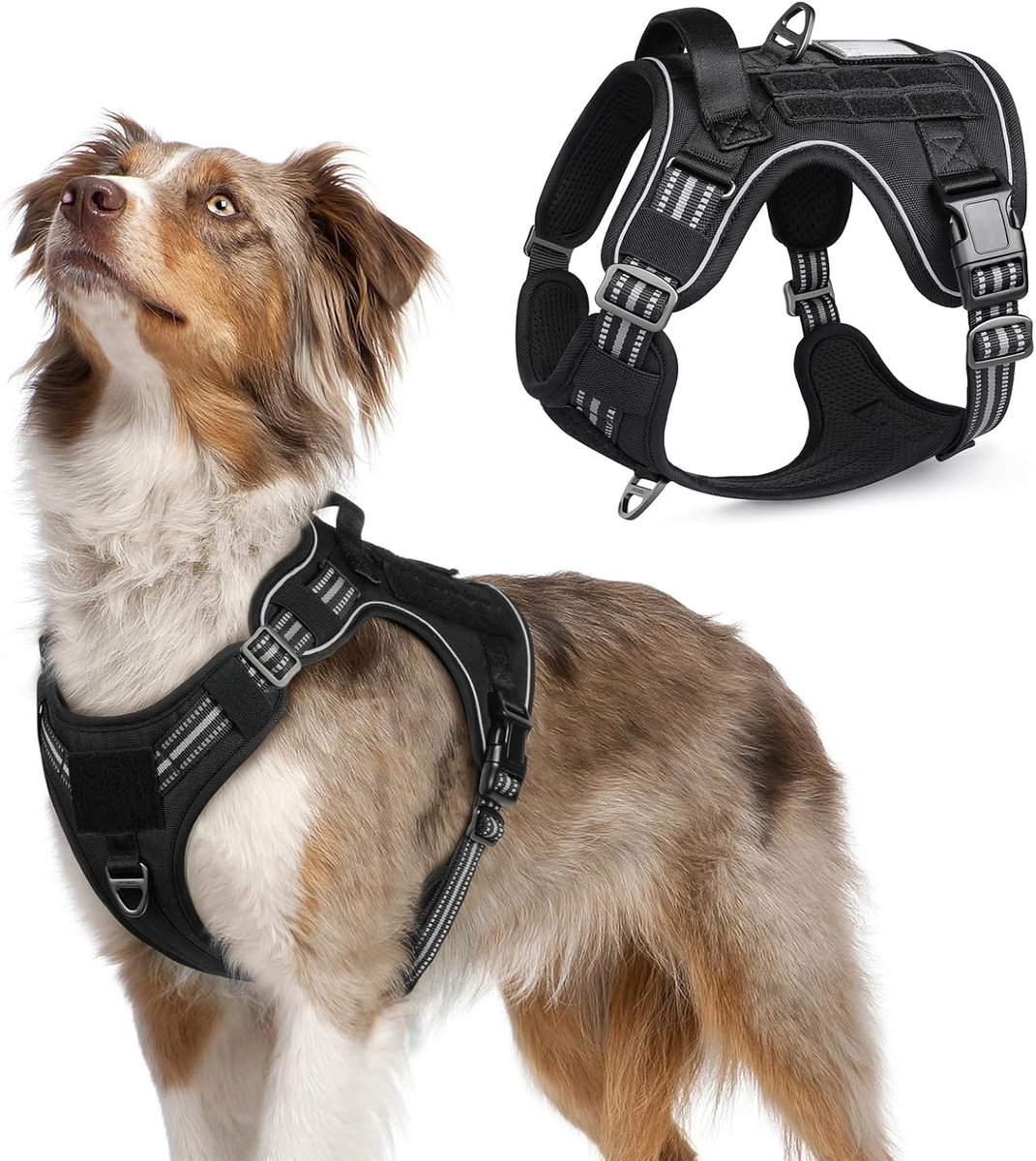 Thijox - Hondentuig No-Pull M - Tactisch Hondenharnas met Molle Paneel, Reflecterend en Verstelbaar, Handvat voor Middelgrote Honden, Ideaal voor Wand