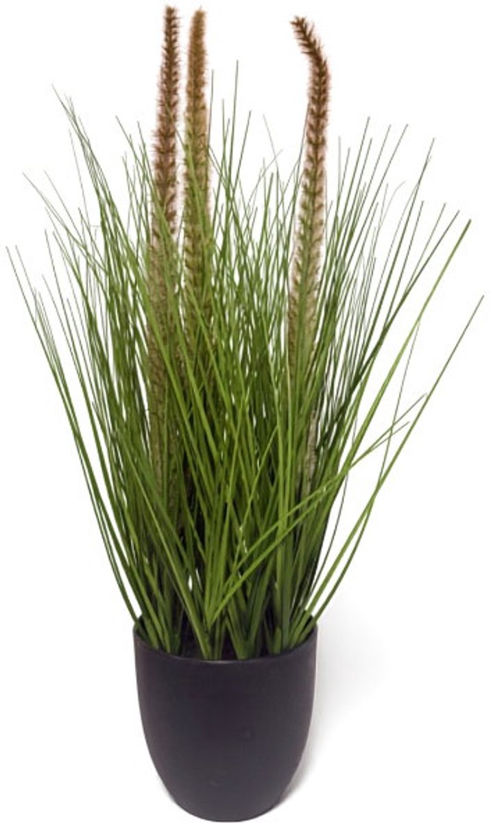 Pennisetum siergras in pot H 60 cm kunstplant Oosterik Home
