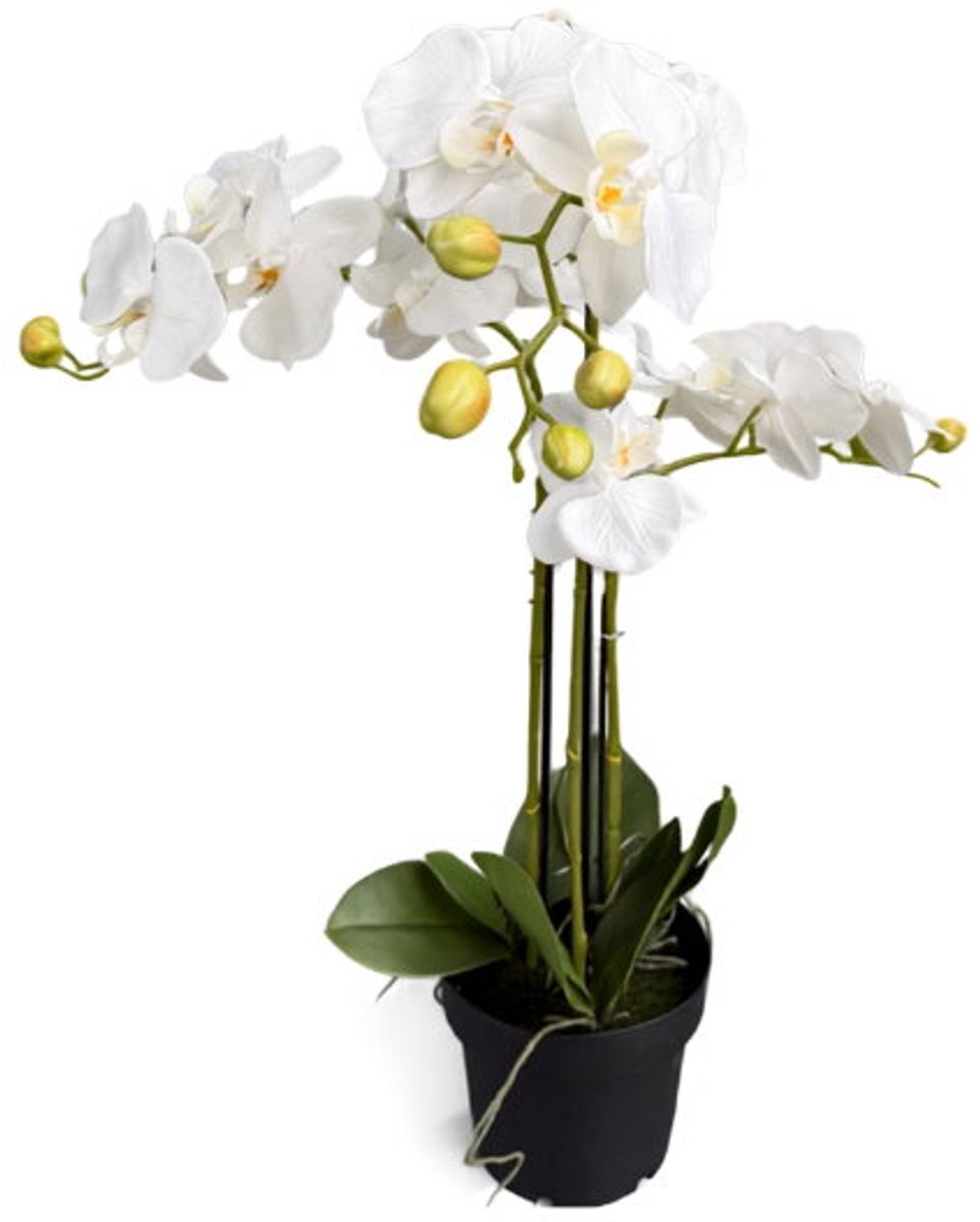 Orchidee wit in pot H 60 cm kunstplant Oosterik Home