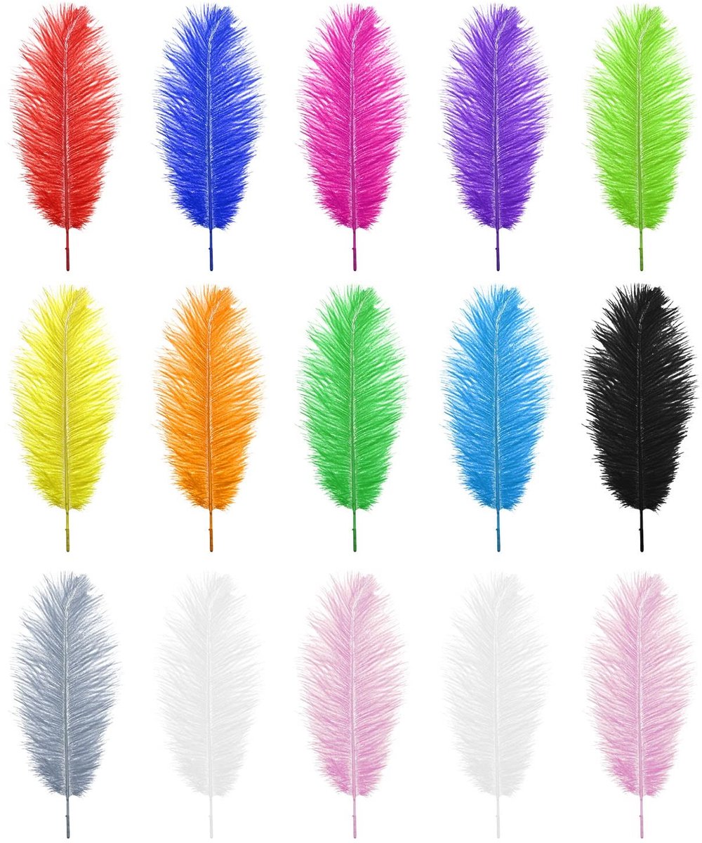 Dailygoods- Struisvogelveren 15 Stuks - Natuurlijke Multi Kleurrijke Veren - 25-30 cm - DIY Craft - Decoratie - Veilig en Niet Giftig - Decoratieveren