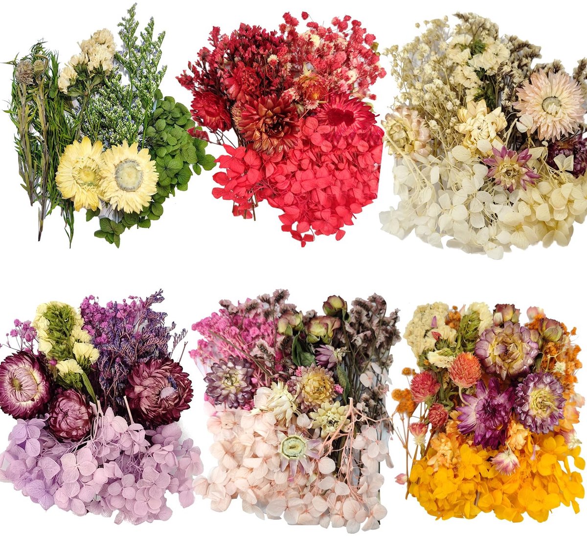 Dailygoods- Gedroogde Bloemen 6 Zakjes - Natuurlijke Bloemen - Hars Versieringen - Uitnodigingen - Knutsel Projecten - Unieke Kleuren - Bloemdecoratie