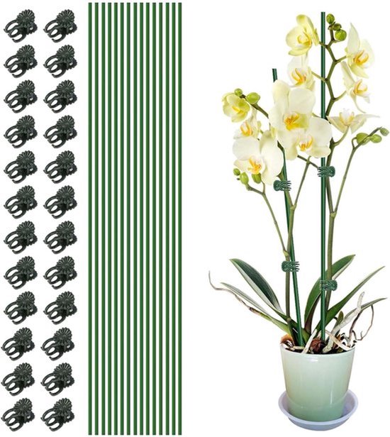 20 stuks plantenstandaard - 30 stuks tuinklemmen - Tomatenstokken - Plantenstandaarden - Plantensteun - Klimplantsteun - Thuisplantensteun