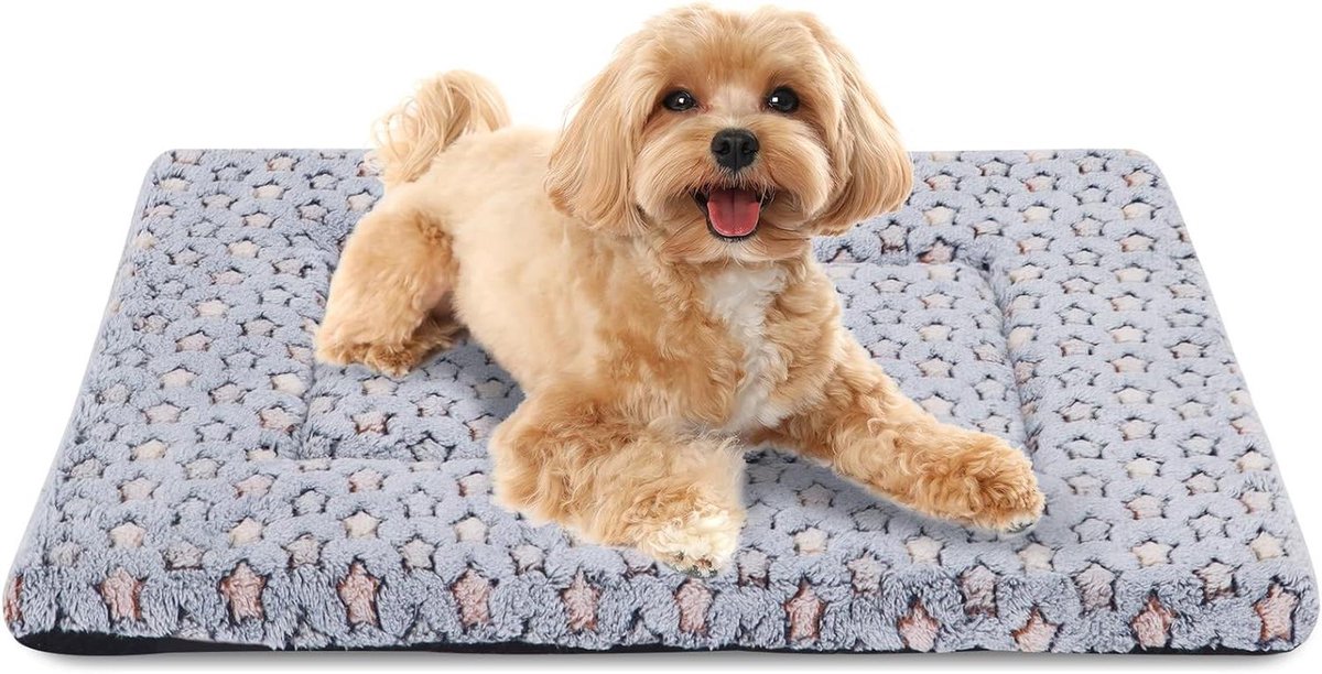 Orthopedisch Hondenbed - Hondenmat Wasbaar - Comfortabel Rusten - Drukverlagend Schuim - 75 x 50 cm - Blauwe Ster
