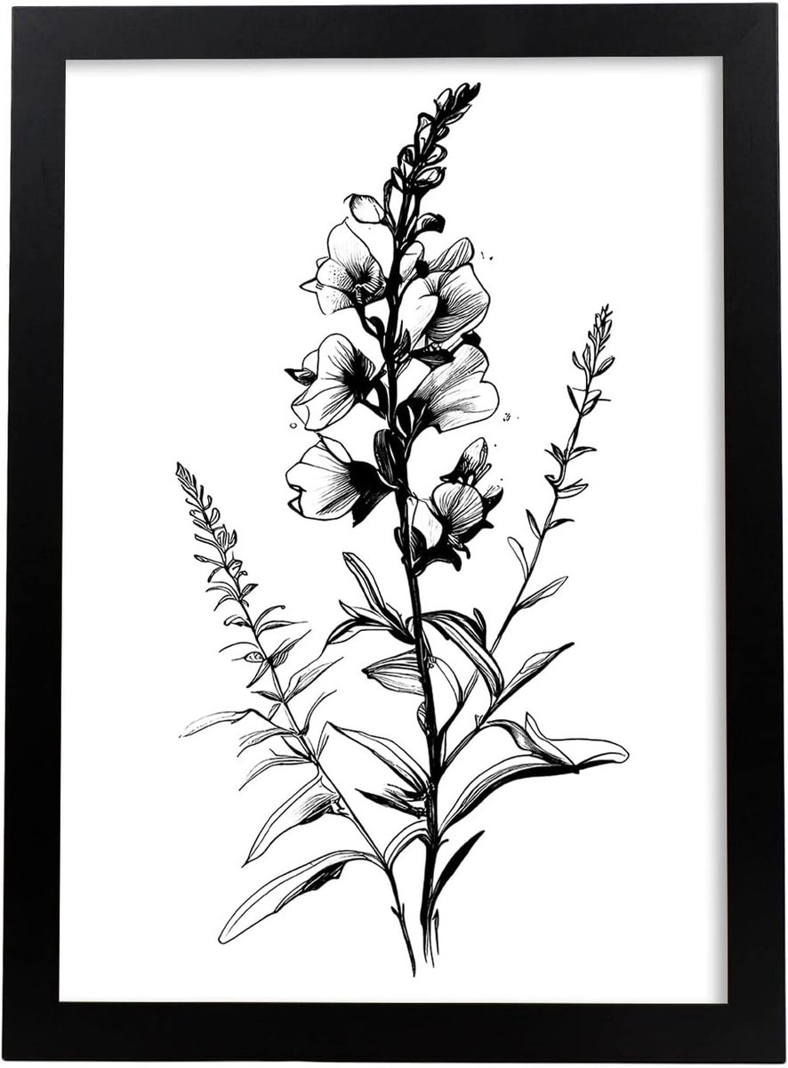 Snapdragon Zwart-wit bloem plant botanische poster illustratie Scandinavische minimalistische kunst aan de muur prints voor slaapkamer of woonkamer interieur decoratie Model 3 Maat A4