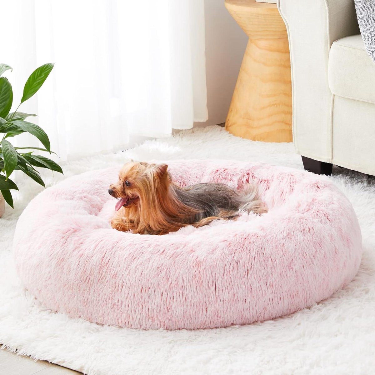 Hondenmand Kattenmand - Ronde Pluche Mand - Comfortabele Rust - Verhoogde Randen - 61x61x20 cm - Lichtroze