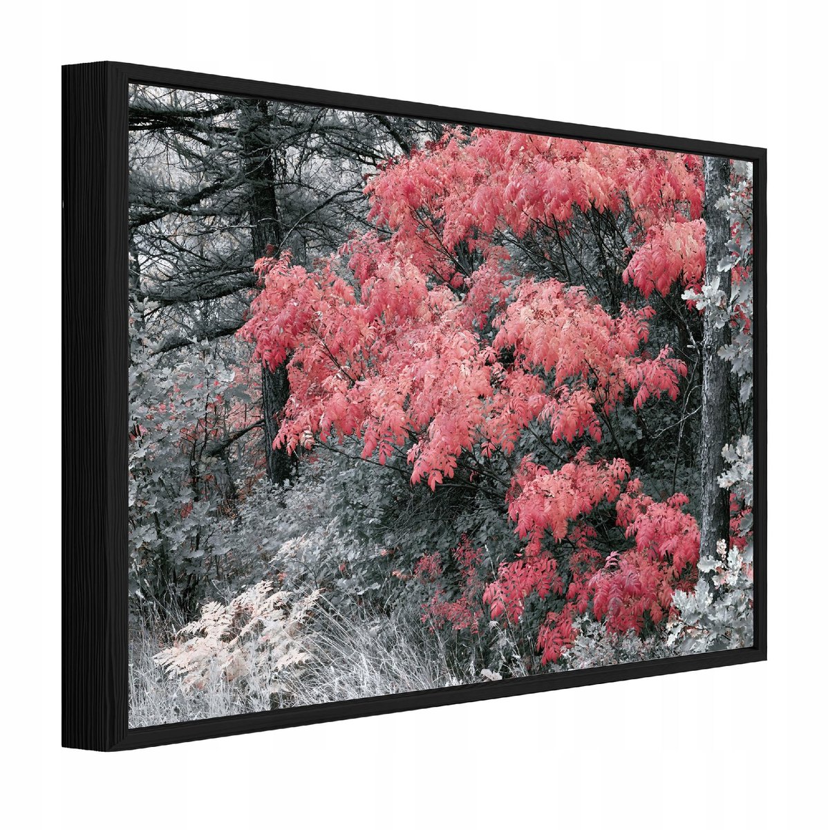 Schilderij op canvas in zwarte lijst - 90x60 cm - grijs bos - wanddecoratie woonkamer en slaapkamer