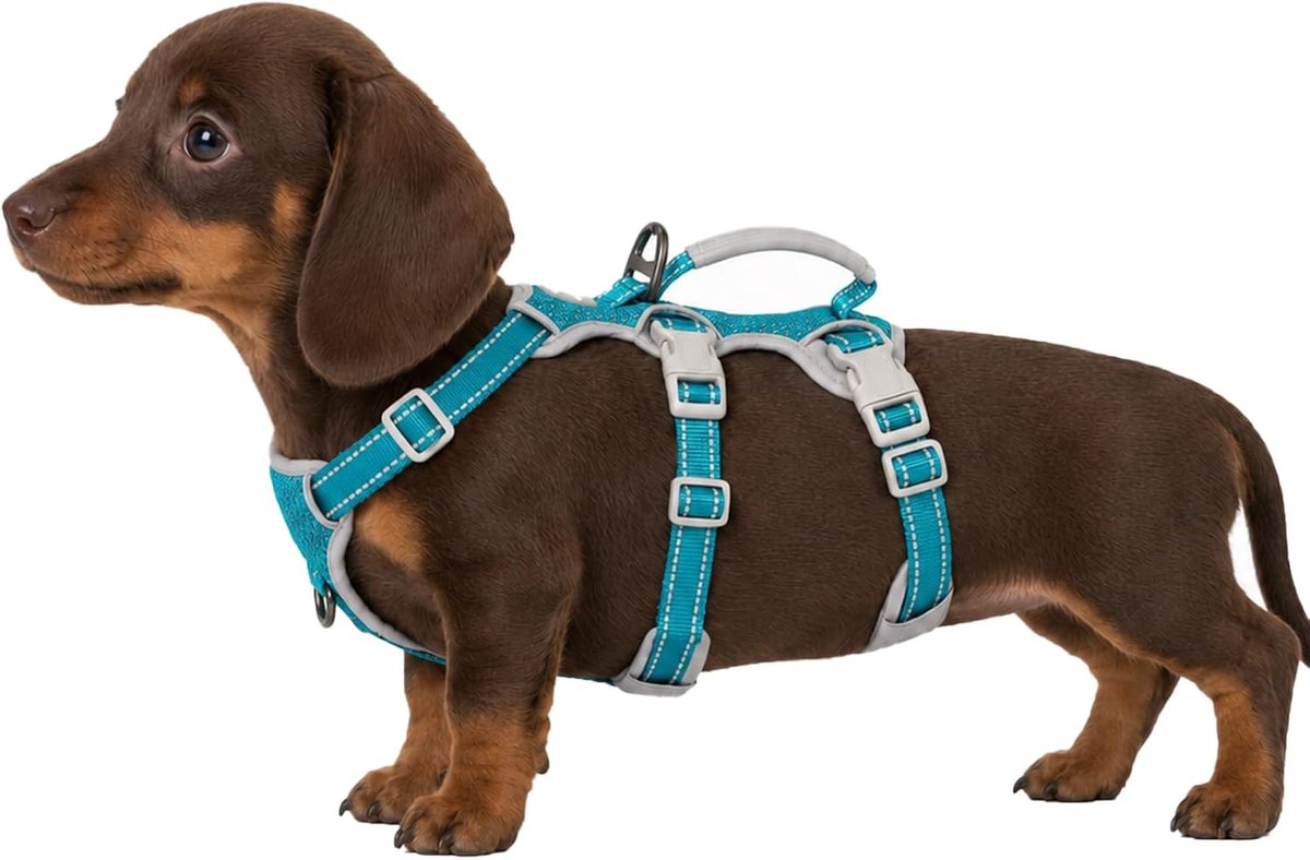 Escape Proof Hondentuig, Ontsnappingskunstenaarsharnas, Volledig Reflecterend Harnas met Gevoerd Handvat, Verstelbaar Vest voor Kleine Honden Wandelen, Hardloopuitrusting (Blauw,XS)