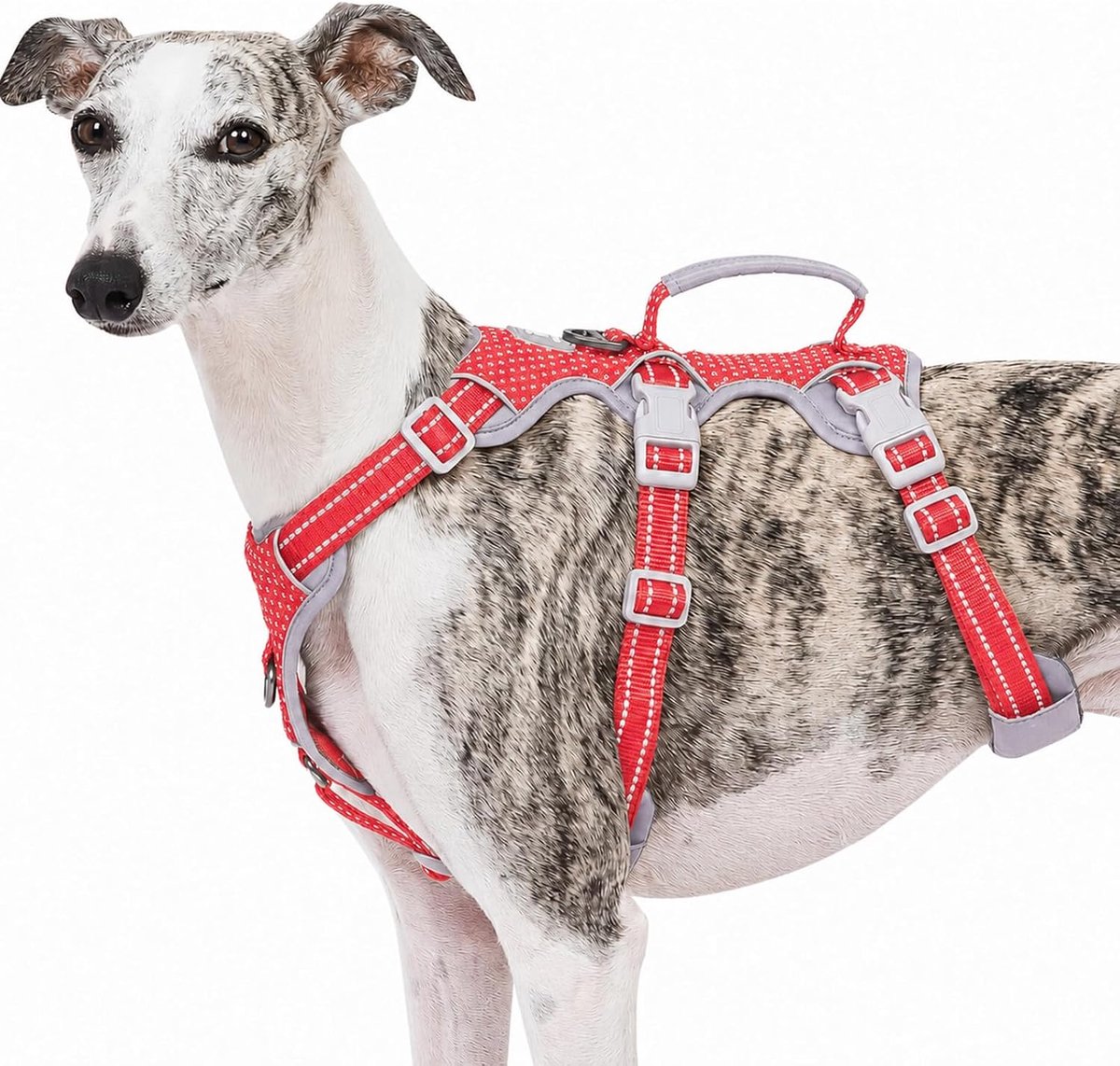 Hondenharnas Escape Proof, Veilig Hondenharnas No Escape, Ademend, Duurzaam, Ademend, Duurzaam, Verstelbaar Vest voor Grote Honden Wandelen, Hardloopuitrusting (Rood,L)