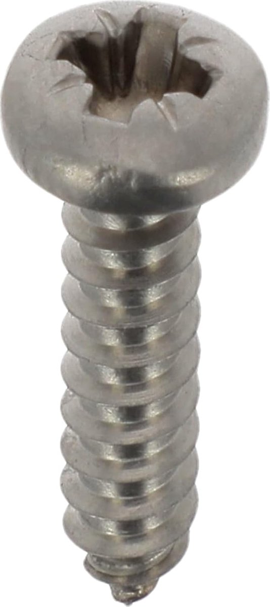 cilinderkop, gewelfd, Pozidrive, 3,5 mm x 16 mm, DIN 7981, zink-roestvrij staal, 25 stuks