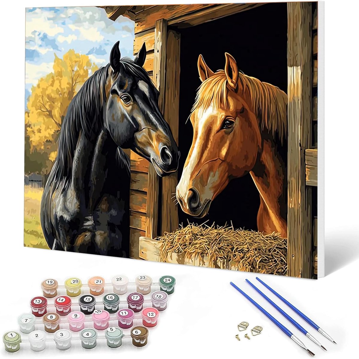 Doe-het-zelf paard schilderen op nummer, set voor volwassenen en kinderen, met houten frame, dierenverf op nummers, set voor beginners, kunstkit met 3 penselen en acrylverf, canvas kit