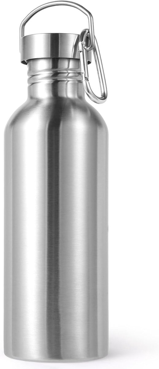 ongeïsoleerde enkelwandige waterfles van 950 ml, roestvrijstalen sportwaterflessen met handvat, BPA-vrije lichtgewicht waterflessen voor wandelen, fietsen, hardlopen (zilver, 1)