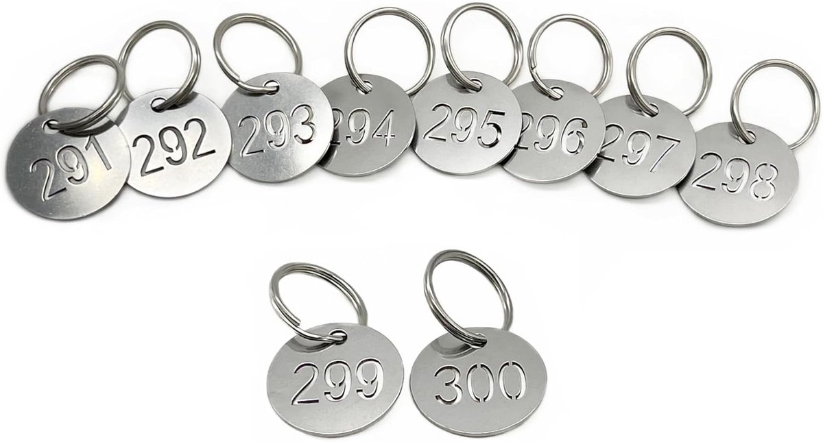 Tags 1-10, 25mm 304 roestvrij staal uitgeholde genummerde sleutelhangers met ringen, nummer ID-tags sleutelhanger