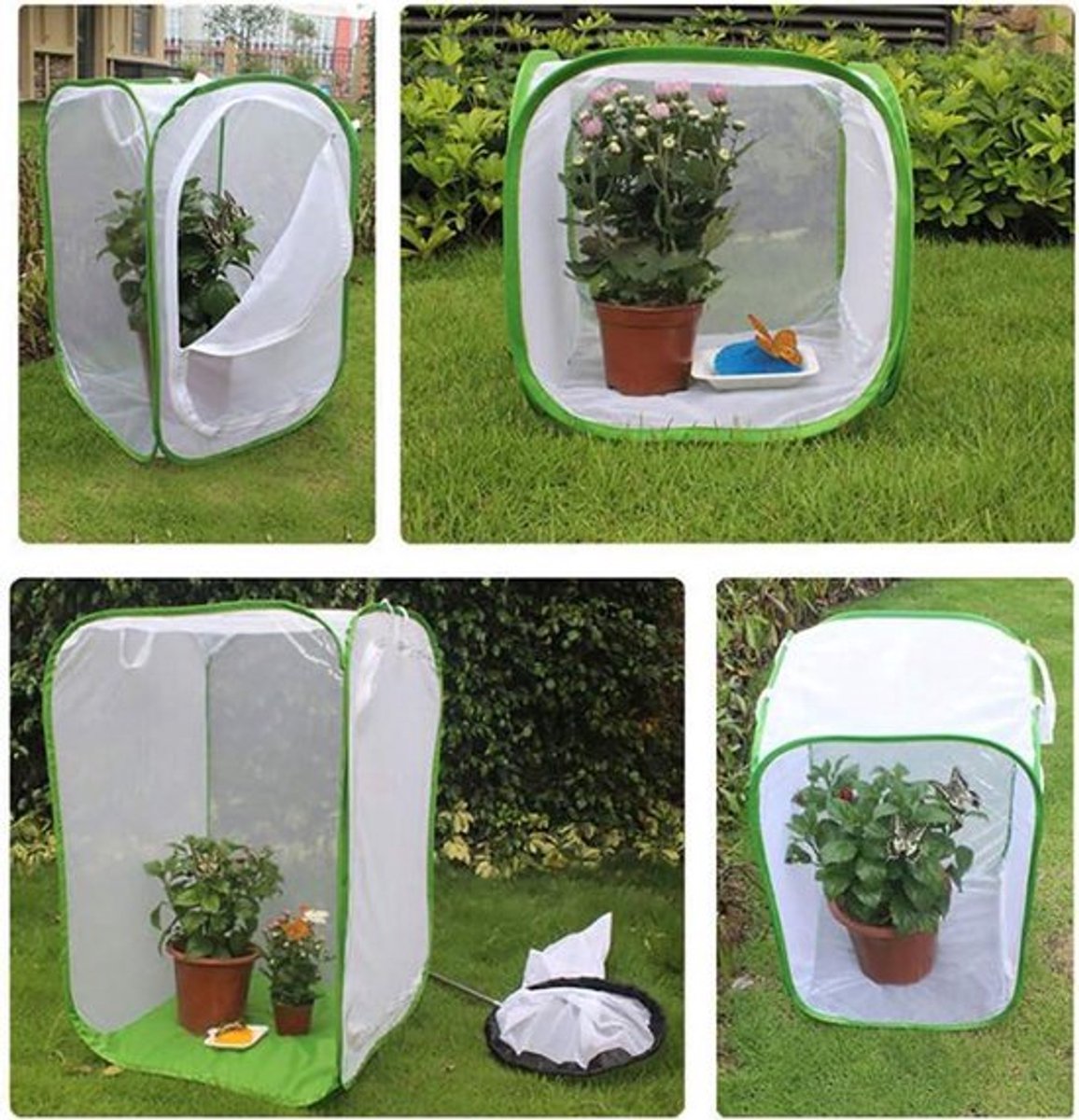 Mesh Kooi voor Planten en Vlinders - Groene Kas Met Ritssluiting - Insectenverblijf Habitat met Mesh Design