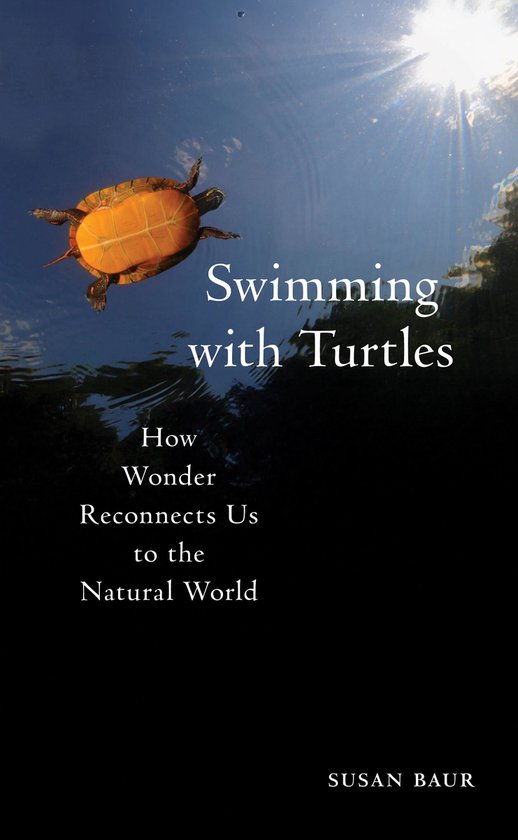 Swimming with Turtles - cover