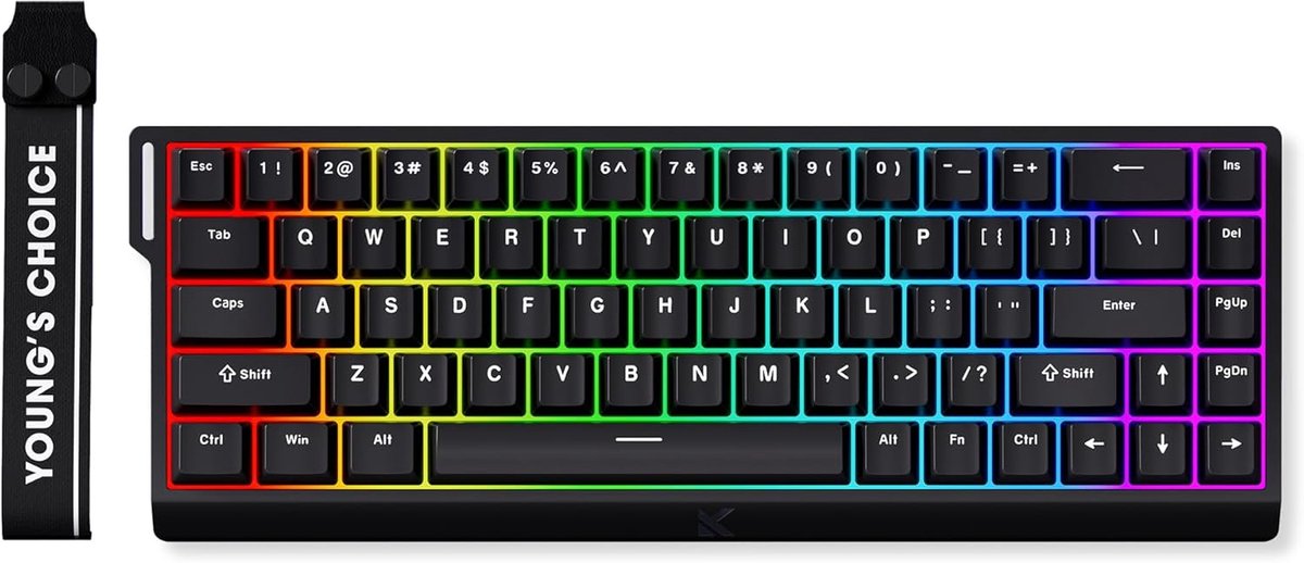 SnelShoppen - Gaming Toetsenbord 65% RGB, Bedraad, Rapid Trigger 8000Hz, Magnetische Schakelaars met Hall Ice Blue Effect, Ultra Nauwkeurig voor FPS G