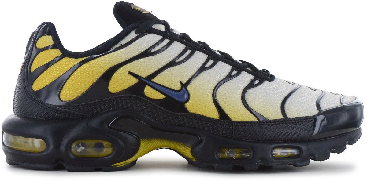 Nike Air Max Plus TN Heren Sneakers Schoenen DM0032-023 Zwart