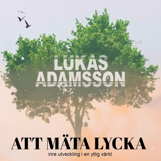 Att mäta lycka: Inre utveckling i en ytlig värld - cover