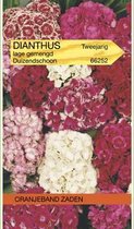 Dianthus, Duizendschoon gemengd laag