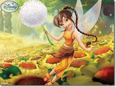 Disney Fairies - Tinkerbell canvas schilderij 40x30cm