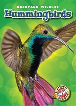Backyard Wildlife - Hummingbirds