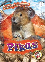 Animals of the Mountains - Pikas