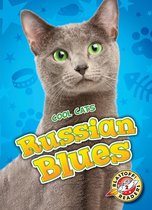 Cool Cats - Russian Blues