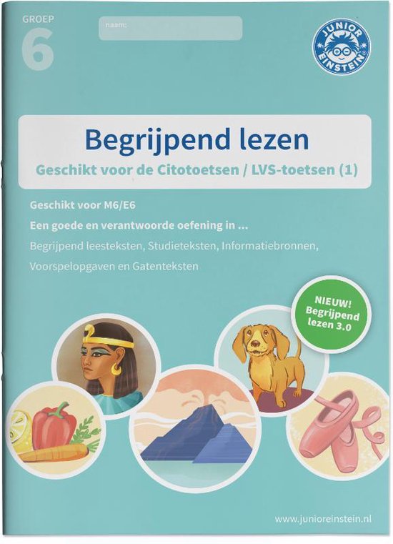 Buitenland Hen Observatie Begrijpend lezen Groep 6 Oefenboek (1) | 9789492265593 | Boeken | bol.com