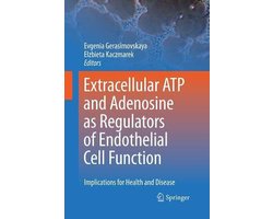 Extracellular ATP and adenosine as regulators of endothelial cell function