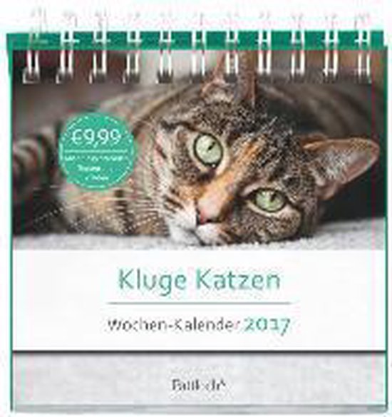 Katzenkalender 2017 Wandkalender