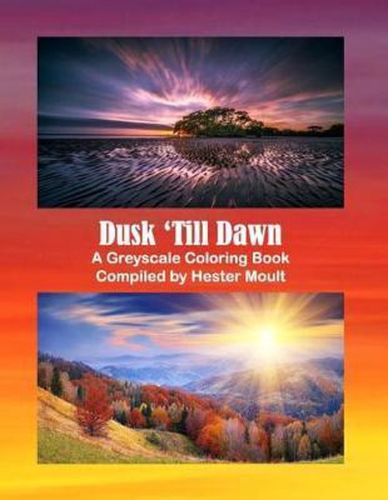 Dusk 'Till Dawn, Hester Moult 9781794331310 Boeken