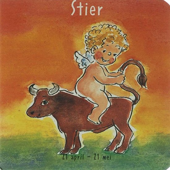 Cover van het boek 'Stier Sterrenkindjes'