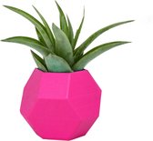 Anhängsel Decoratieve Hanger - KA Suction cup - 5.5x4 cm - Pink