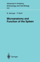 Advances in Anatomy, Embryology and Cell Biology 151 - Microanatomy and Function of the Spleen