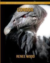 Condor