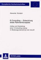 E-Consulting – Entwicklung eines Rahmenkonzeptes