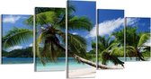 Palmbomen - Canvas Schilderij Vijfluik 200 x 100 cm