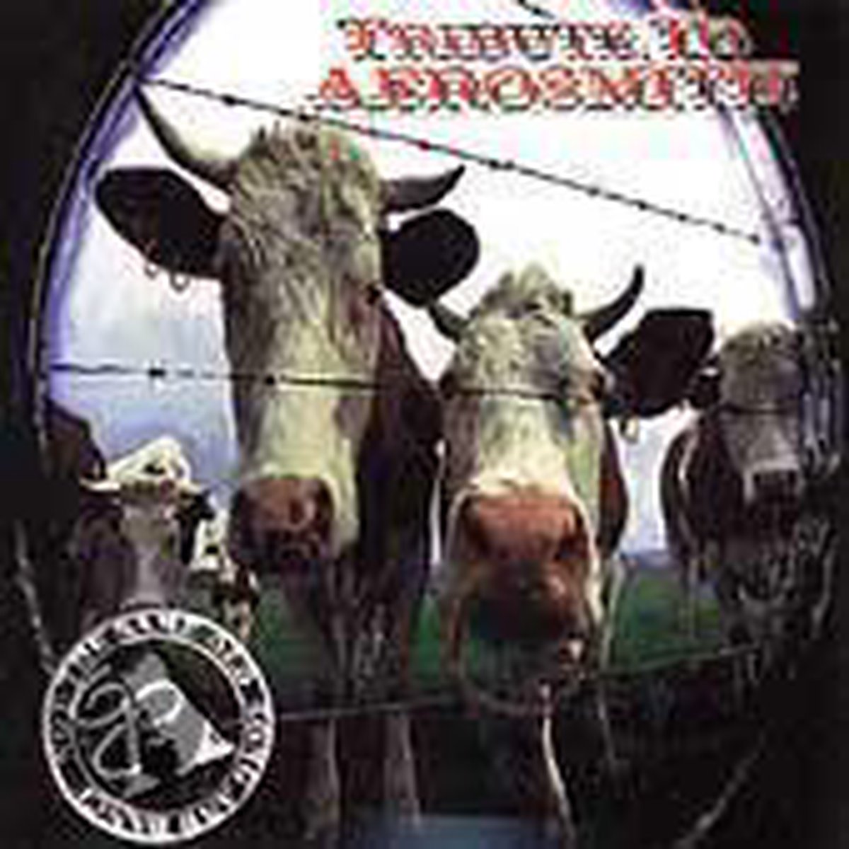 Aerosmith Tribute: Not The Same Old Song...
