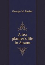 A tea planter's life in Assam