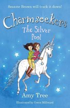 Charmseekers 2 - The Silver Pool