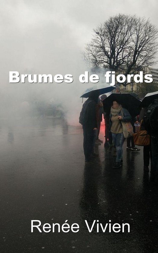 Brumes de fjords