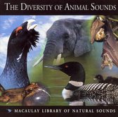 Diversity of Animal Sounds